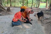 โครงการฉีดวัคซีนป้องกันโรคพิษสุนัขบ้า ประจำปีงบประมาณ พ.ศ.2566