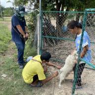 โครงการฉีดวัคซีนป้องกันโรคพิษสุนัขบ้า