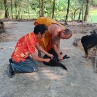 โครงการฉีดวัคซีนป้องกันโรคพิษสุนัขบ้า ประจำปีงบประมาณ พ.ศ.2566